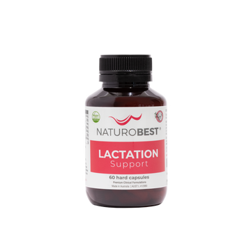 Lactation Support - Carton | Expiry November 2027